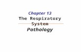 Chapter 13 The Respiratory System Pathology
