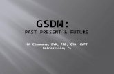 GSDM:  Past Present & future