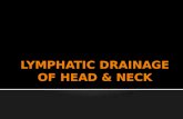 LYMPHATIC DRAINAGE OF HEAD & NECK