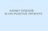 KIDNEY DISEASE     IN HIV-POSITIVE PATIENTS
