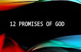 12 Promises of god