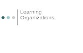 Learning  Organizations
