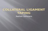 Collateral Ligament Taping