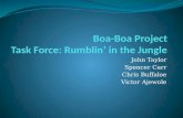 Boa-Boa Project Task  Force:  Rumblin ’ in the Jungle
