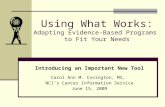 Using What Works: Adapting Evidence-Based Programs  to Fit Your Needs