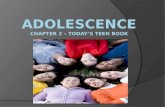 Adolescence Chapter 2 – Today’s teen book