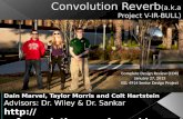 Convolution Reverb (a.k.a Project V-IR-BULL)
