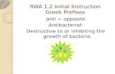 RWA 1.2  Initial Instruction Greek  Prefixes