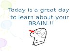 Today is a great day  to learn about your BRAIN!!!
