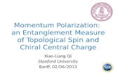 Momentum  Polarization :  an E ntanglement Measure  of  Topological Spin and Chiral Central Charge