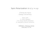 Spin Polarization in  d g  →  n p