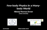 Few-body Physics in a Many-body World