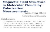 Magnetic Field Structure in Molecular Clouds by Polarization Measurements