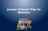 Junior School Trip to  Waiuku