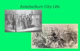 Antebellum City Life