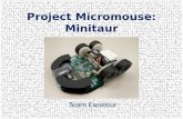Project Micromouse: Minitaur