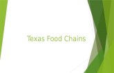 Texas Food Chains
