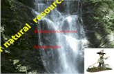 Our  natural   resources