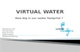 VIRTUAL WATER How big is our water footprint  ?