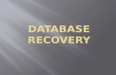 Database recovery