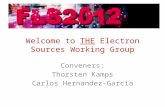 Welcome to  THE  Electron Sources Working Group