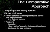 The Comparative Approach
