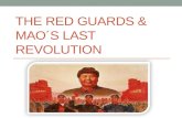 The Red Guards & Mao ´s Last Revolution