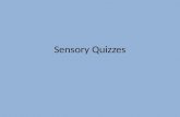 Sensory Quizzes