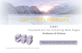 CSS STYLES VISIBILITY