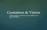 Gustation & Vision