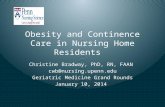 Obesity and Continence Care in Nursing Home Residents