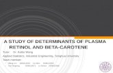A STUDY OF DETERMINANTS OF PLASMA      RETINOL AND BETA-CAROTENE