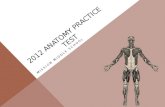 2012 Anatomy practice test