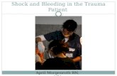 Shock and Bleeding in the Trauma Patient