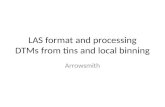 LAS format and processing DTMs from tins and local binning