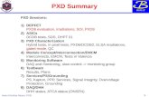 PXD Summary