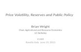 Price Volatility, Reserves and Public  Policy
