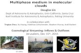 Multiphase medium in molecular clouds