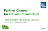 Partner Channel Incentives Introduction