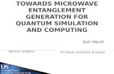towards microwave entanglement generation for quantum simulation and computing