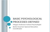Basic  Psychological  Processes-Defined