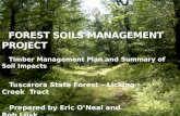 Forest Soils Management Project