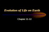 Evolution of Life on Earth