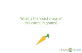 What is the exact mass of this carrot in grams?