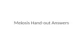 Meiosis Hand-out Answers