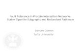 Fault Tolerance in Protein Interaction Networks: Stable Bipartite Subgraphs and Redundant Pathways
