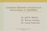 Conduits Between Anatomical Hierarchies in SNOMED