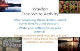 Walden Free Write Activity