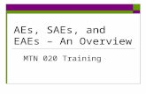 AEs, SAEs, and EAEs – An Overview