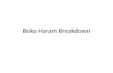 Boko  Haram Breakdown